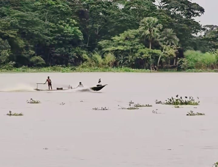 দুমকিতে নিষেধাজ্ঞা অমান্য করে মা-ইলিশ শিকারের মহোৎসব